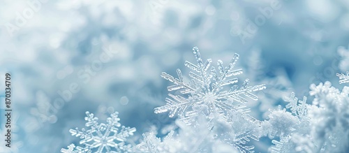 Close-up macro photo of sno...