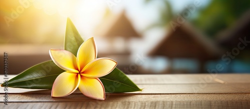 Frangipani flower on a palm...