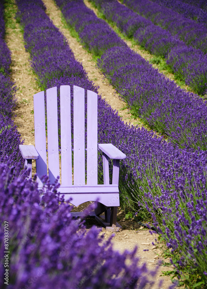 Foto scattata a Vendersi in Val Borbera. Il borgo famoso per gli spaventapasseri e per i campi di lavanda.