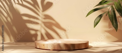 Wooden podium with leaves a...