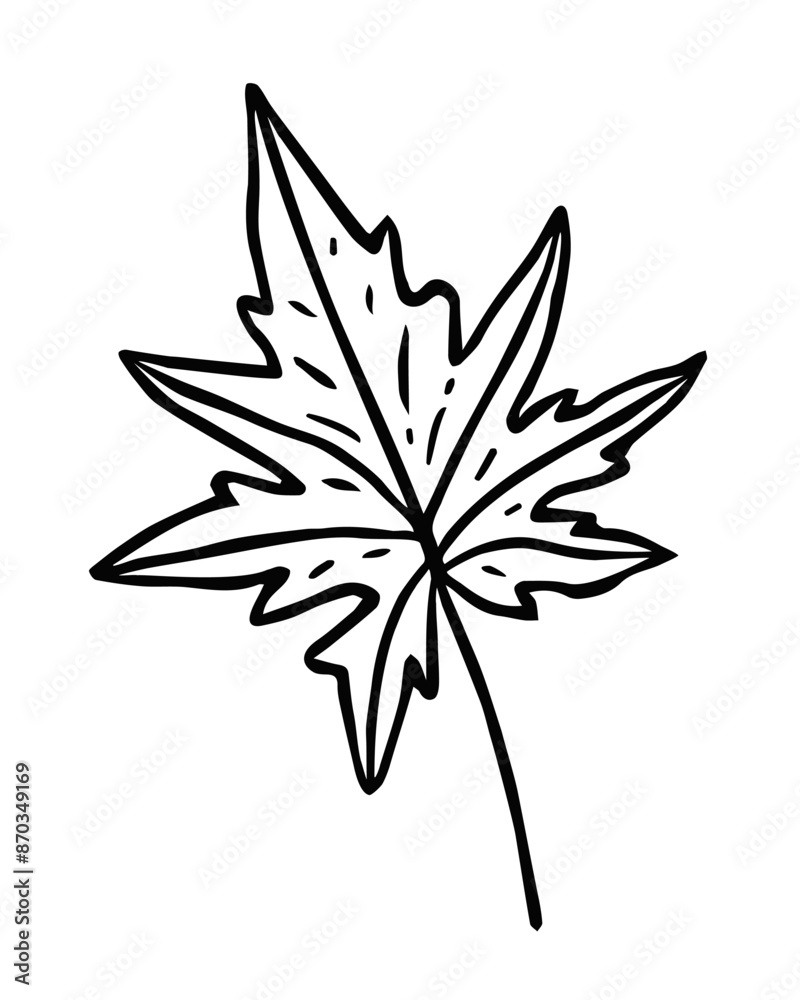 Vector illustration of a maple leaf, hand-drawn. Linear drawing isolated on a white background, sketch. Thanksgiving Day, autumn season, forest flora, contour symbol of Canada in close-up. Vector illustration of a maple leaf, hand-drawn. Linear drawing isolated on a white background, sketch. Thanksgiving Day, autumn season, forest flora, contour symbol of Canada in close-up.
