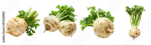 Celeriac celery root vegetable design elements cutout set, healthy ingredient brown photo