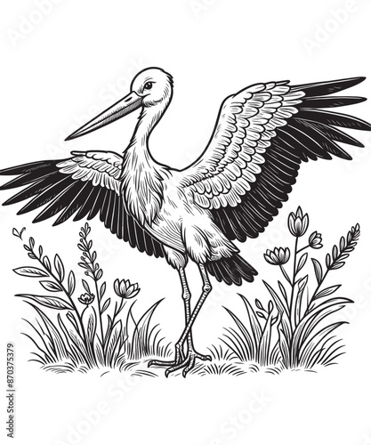 Stork line art