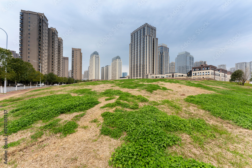 Obraz premium city park with modern building background in shanghai