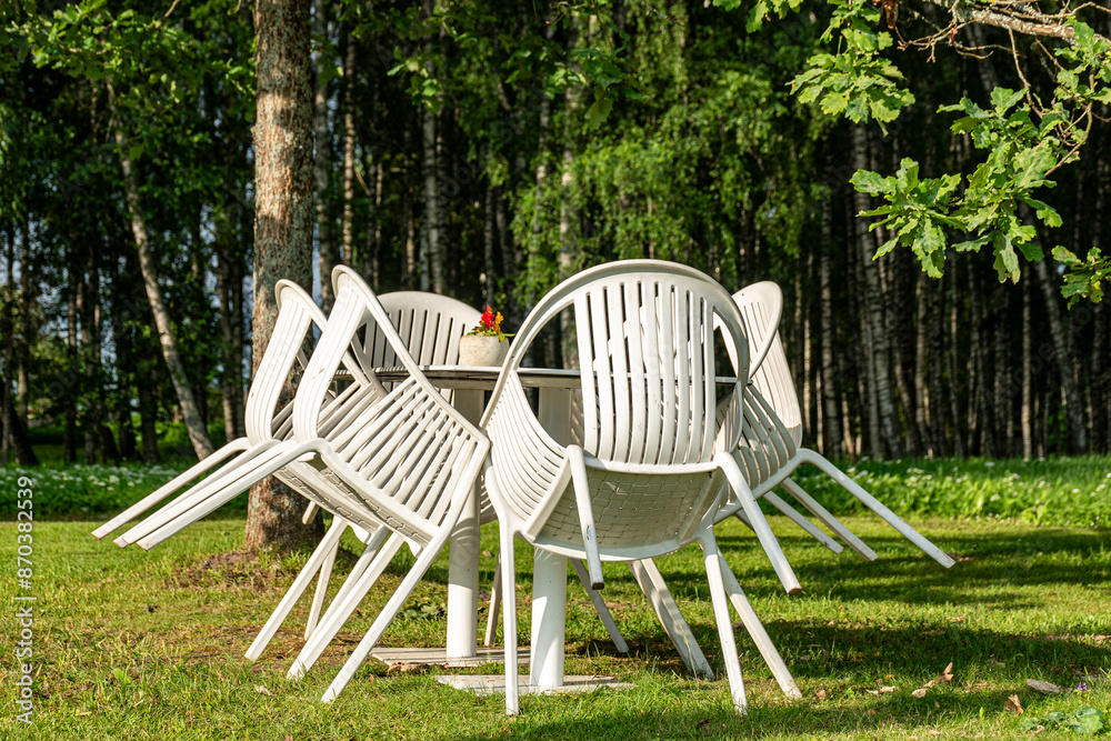 resting place in a birch grove, relaxing in nature, white plastic benches and tables, summer resting place in a birch grove, relaxing in nature, white plastic benches and tables, summer