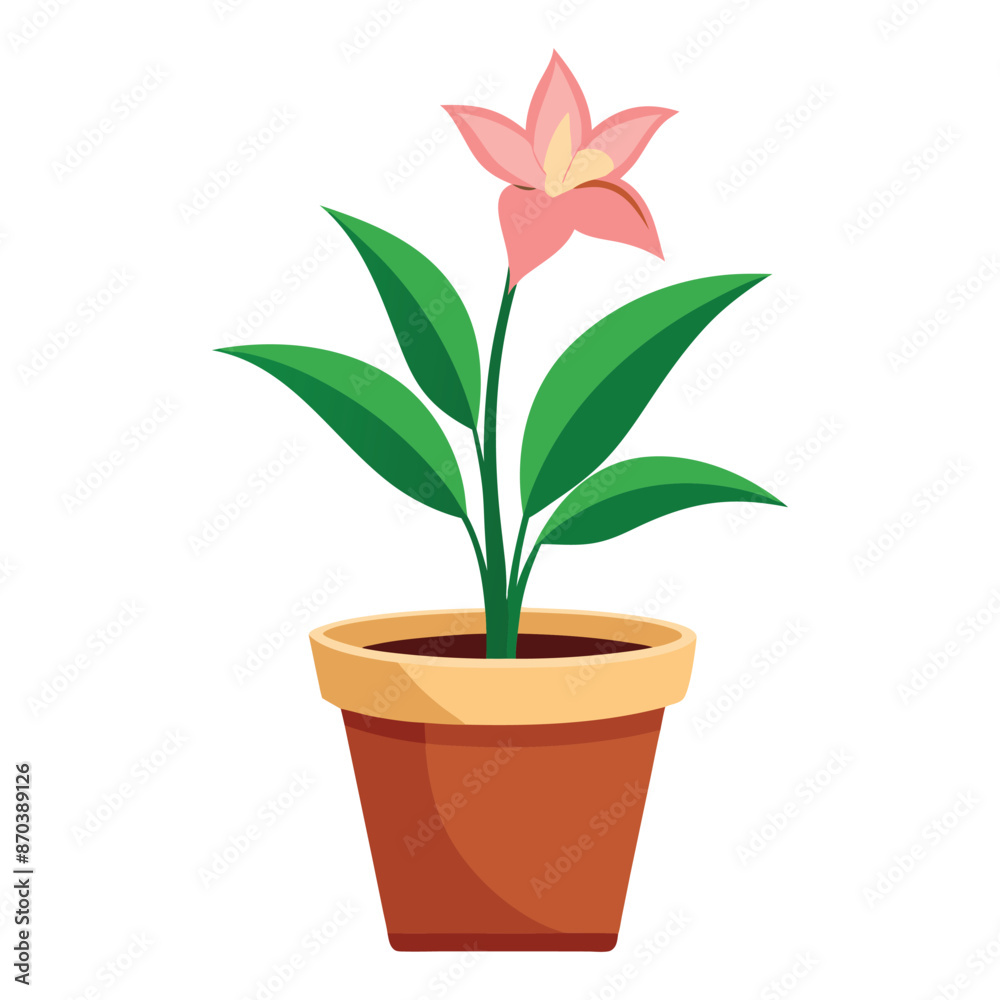 Illustration of Lily plant pot on white Illustration of Lily plant pot on white