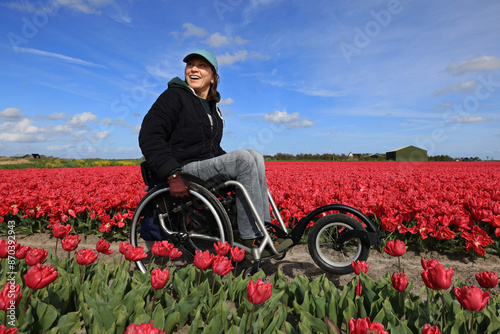 A young woman in a off-road wheelchair walks in the spring in a field of blooming tulips.