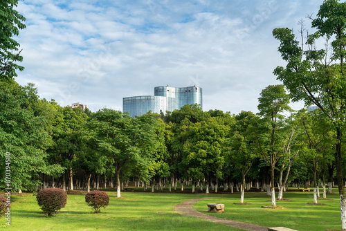 Beautiful panorama of green city park