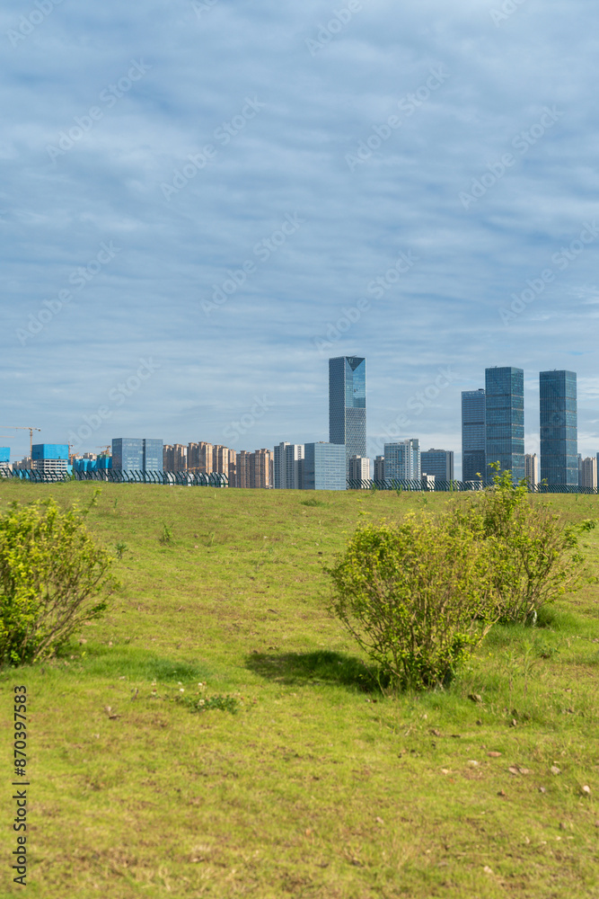 flower field in park at city center and modern city flower field in park at city center and modern city