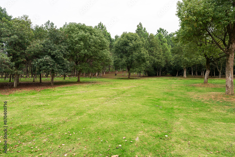 Beautiful panorama of green city park Beautiful panorama of green city park