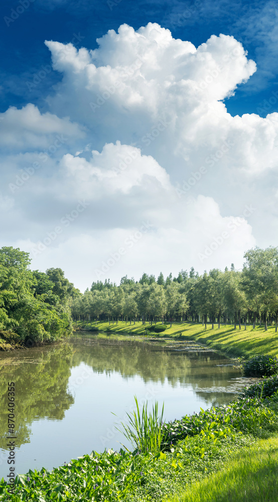 Lush greener around the pond in the park