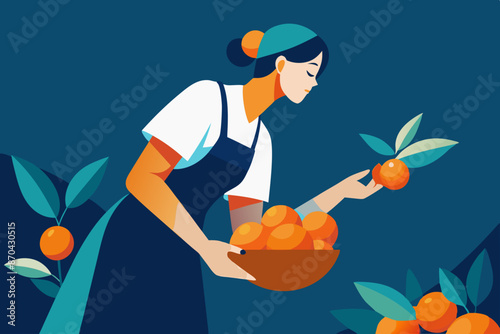 Vector image of traditional citrus fruit harvest