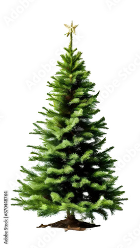 christmas tree pngtransparent background christmas tree,