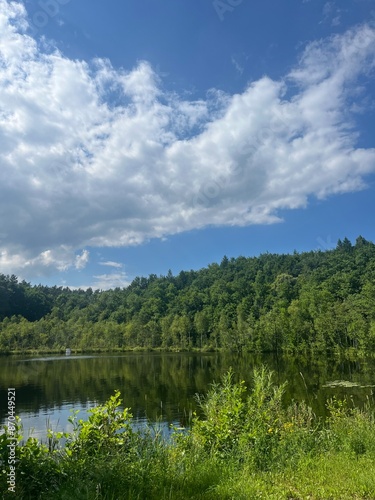 lake in the forest