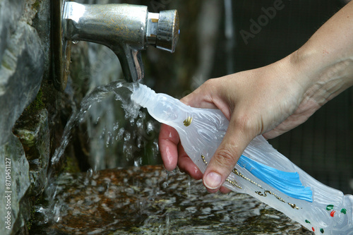 Quadro su tela Lourdes spring water famous for its healings