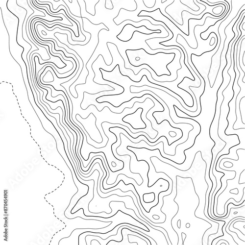 Topographic map with lines on a white background. Geographic map concept. Vector illustration