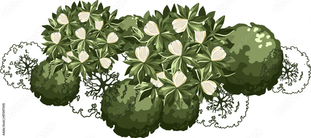 Blossom Tree for architectural floor plans. Entourage design. Various trees, bushes, and shrubs, top view for the landscape design plan. Vector illustration. Blossom Tree for architectural floor plans. Entourage design. Various trees, bushes, and shrubs, top view for the landscape design plan. Vector illustration.