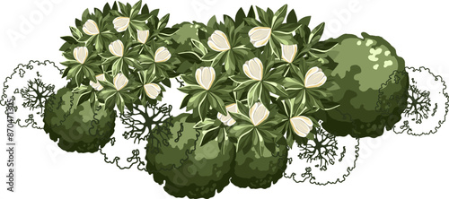 Blossom Tree for architectural floor plans. Entourage design. Various trees, bushes, and shrubs, top view for the landscape design plan. Vector illustration.