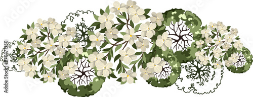 Blossom Tree for architectural floor plans. Entourage design. Various trees, bushes, and shrubs, top view for the landscape design plan. Vector illustration.
