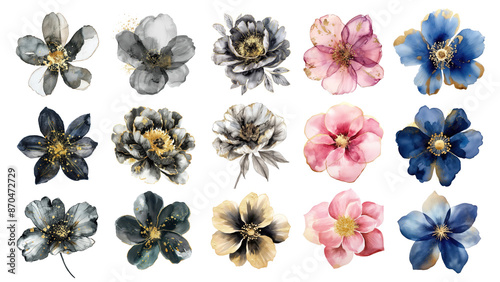 Fototapeta Naklejka Na Ścianę i Meble -  Watercolor flower illustration png cut out set