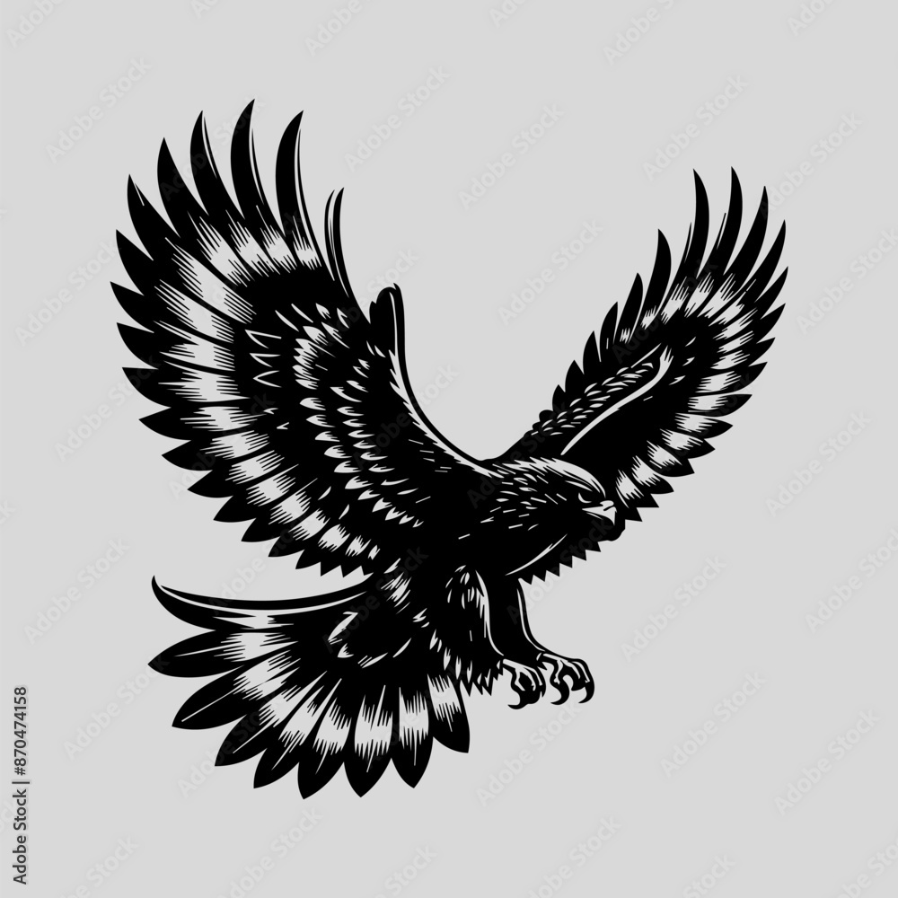 Obraz premium eagle with wings