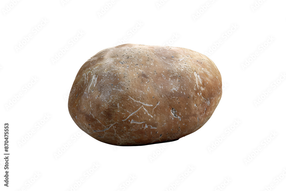 a round brown rock with white specks a round brown rock with white specks