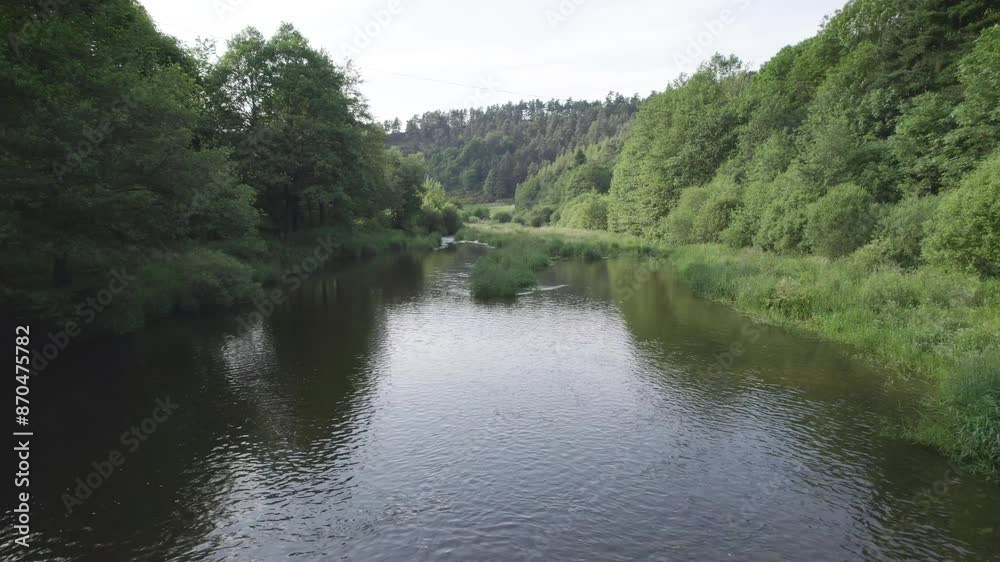 Flying Above River Flowing Through Lush Green Forest In Countryside. drone shot Flying Above River Flowing Through Lush Green Forest In Countryside. drone shot