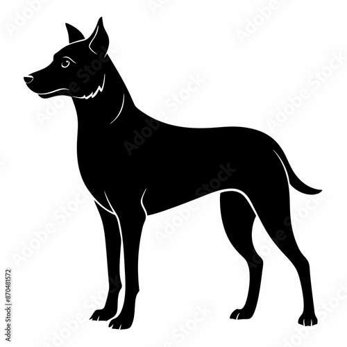 black and white dog © Vector Art