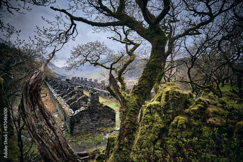 Zerfallene Häuser, Ruinen mit Baum und Moos im Dinorwic Steinbruch, Snowdonia, Wales.  photo