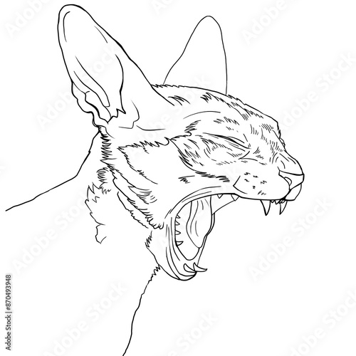 lineart cat detailed drawing. cartoon realistic character children's coloring book. design for pet stores, cat products, animal exhibition. illustration of a screaming, yawning cat with an open mouth