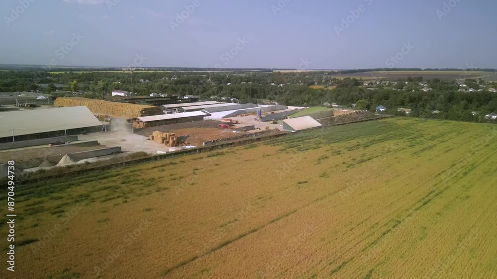 Dairy Farm aerial view. Corn silage packing. Feeding for cows Dairy Farm aerial view. Corn silage packing. Feeding for cows