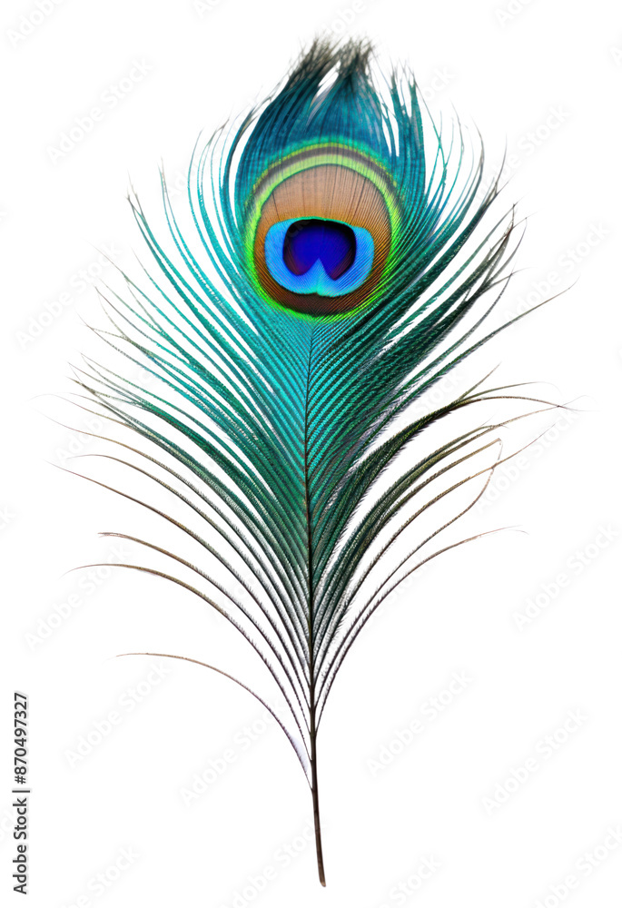 Obraz premium PNG Pattern bird lightweight accessories.