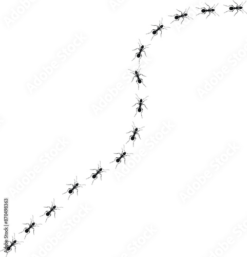 Worker ants trail line flat style design vector illustration isolated on white background. Top view of ants bug road trail marching in the line row. Pest control or insect searching concept.