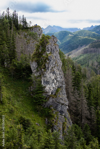 Strome zbocza górskie w polskich Tatrach photo