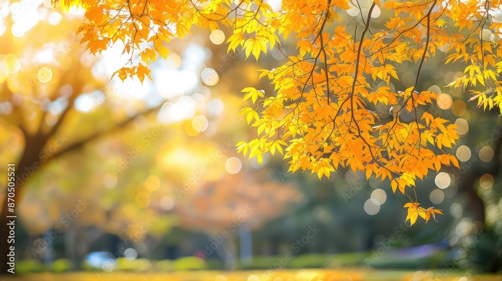 Beautiful autumn landscape with yellow trees bokeh Beautiful autumn landscape with yellow trees bokeh