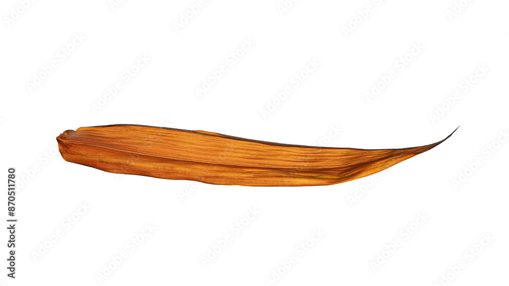 Obraz premium dry bamboo leaf isolated on white background