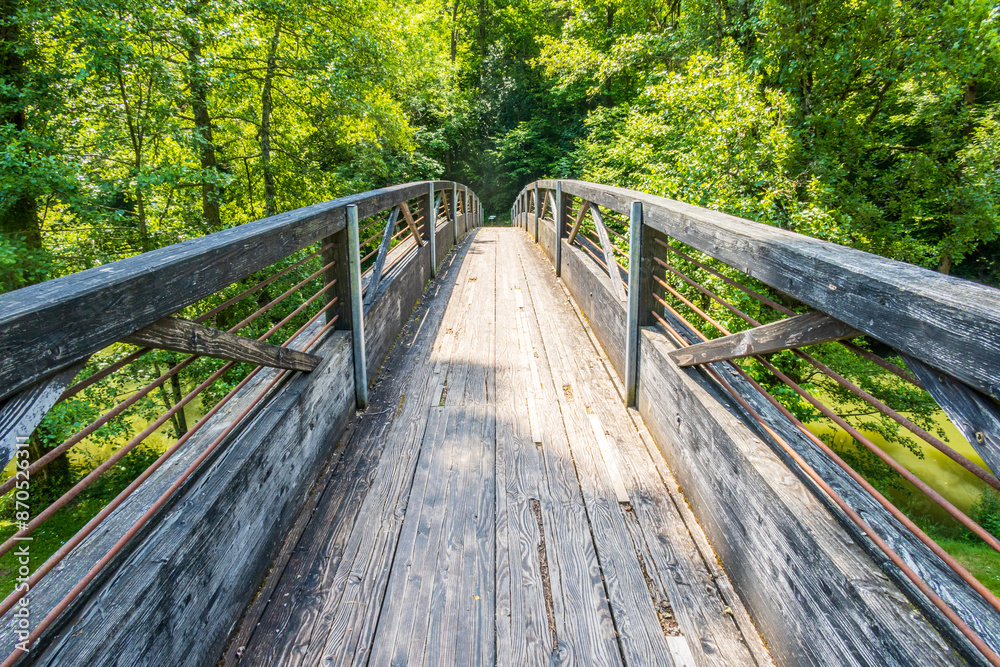 Wooden footbridge with lush forest surrounding it Wooden footbridge with lush forest surrounding it