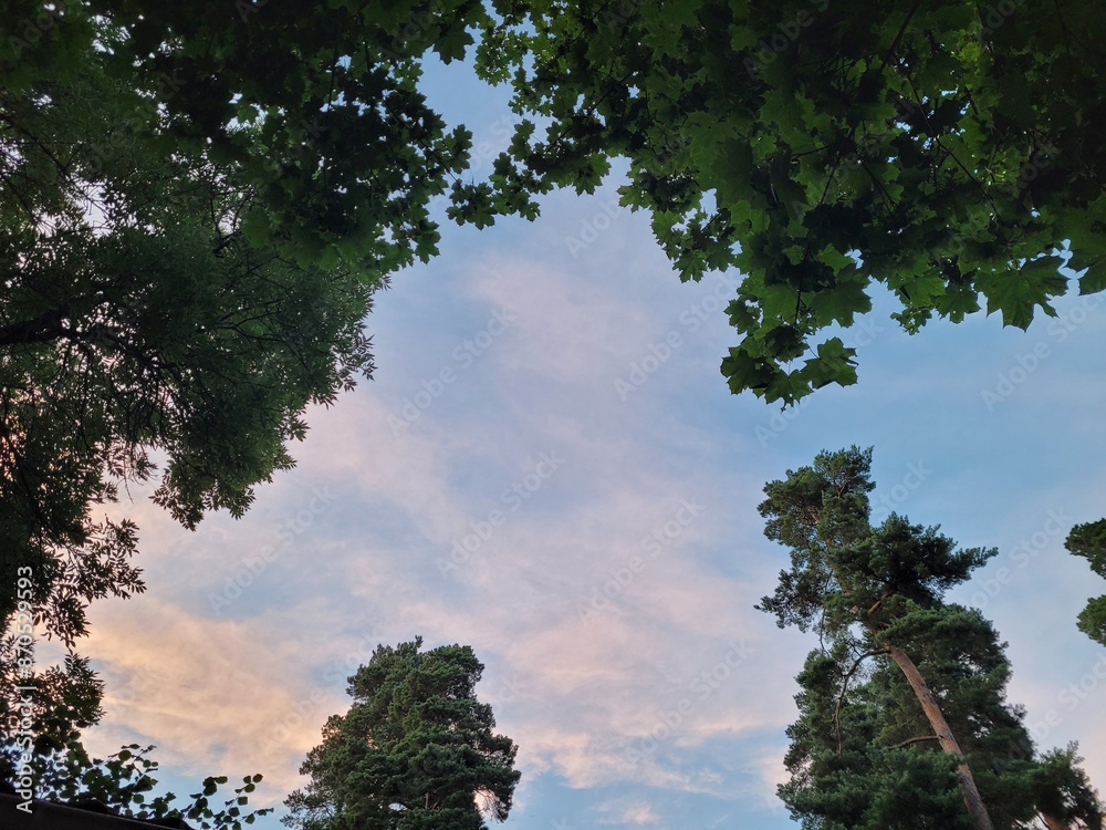 Obraz premium sunset in the park