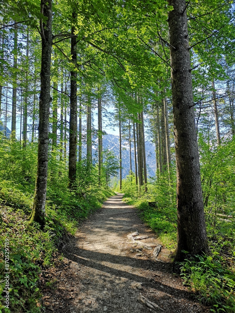 Tableau sur toile avec Hiking trail, Almsee, Austria #870529789
