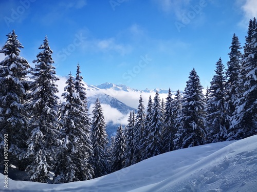 Winter landscape with snow on fir trees and sea of clouds around moutains