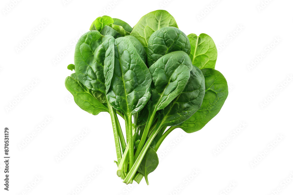 Spinach isolated on transparent background Spinach isolated on transparent background