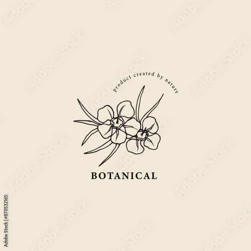 Hand drawn waxflower logo. Australian native flower
