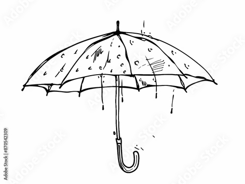Under the Umbrella of Limited Liability: Exploring the Boundaries of Protection