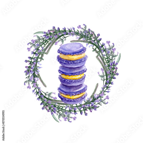 Aquarelle llustration flower vignette of French Lavender sprouts and lavender Macaroones inside. photo