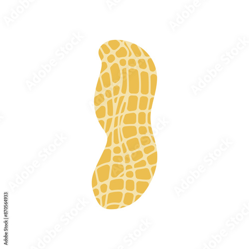 peanut flat design vector illustration isolated on white background. Superfood and vegan protein source concept. Perfect for dietary vegetarian guides and food packaging