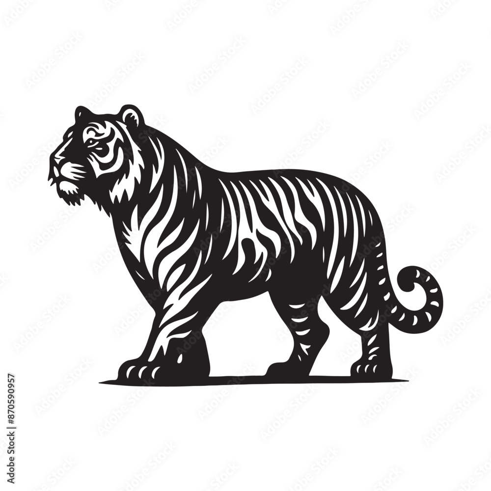 tiger illustration tiger illustration
