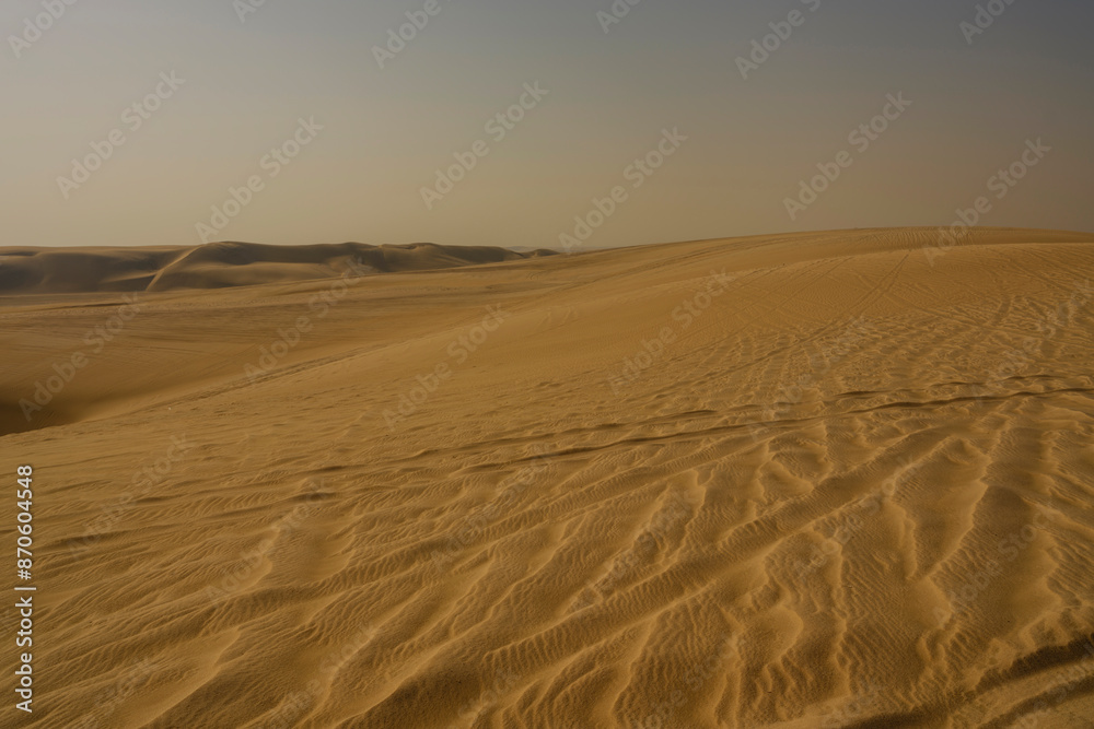 desert landscape in summer heat desert landscape in summer heat