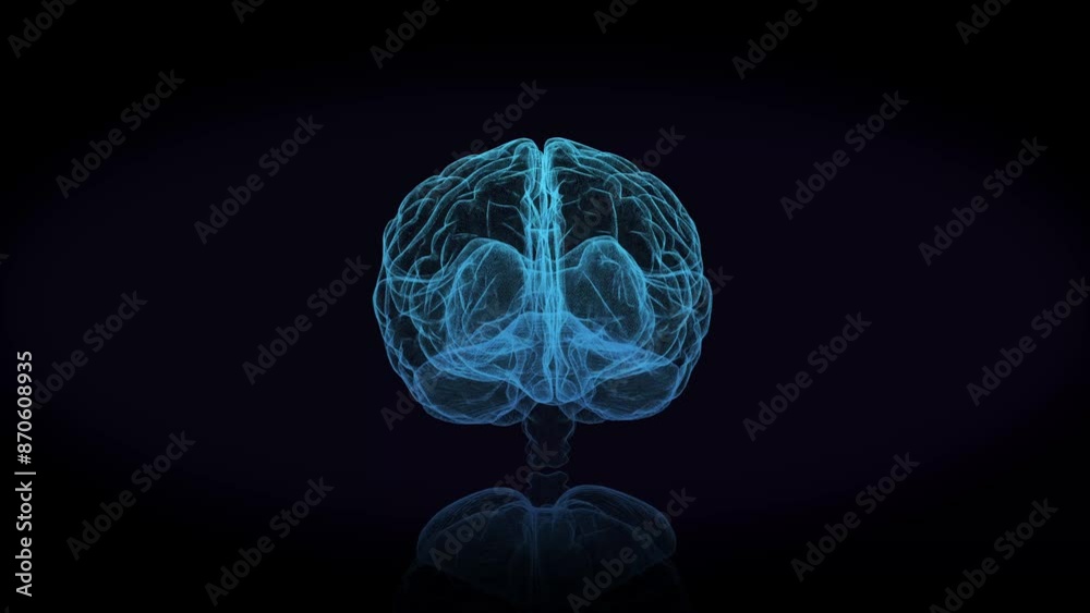3d animation graphic design of brain and brain stem in alpha background. Brain showing and spinning with mri scan in creativity model and health concept with wire frames alpha transparent background. 3d animation graphic design of brain and brain stem in alpha background. Brain showing and spinning with mri scan in creativity model and health concept with wire frames alpha transparent background.