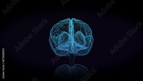 3d animation graphic design of brain and brain stem in alpha background. Brain showing and spinning with mri scan in creativity model and health concept with wire frames alpha transparent background.