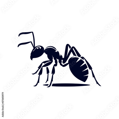 black ant isolated on white